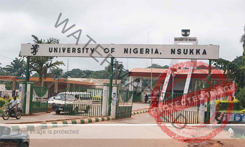 University of Nsukka (UNN)