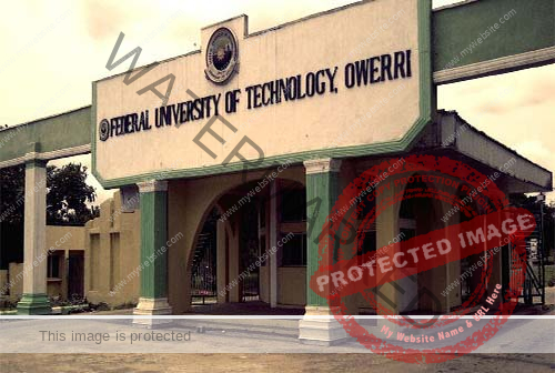  Federal University of Technology Owerre (FUTO)