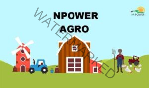 NPower Agro