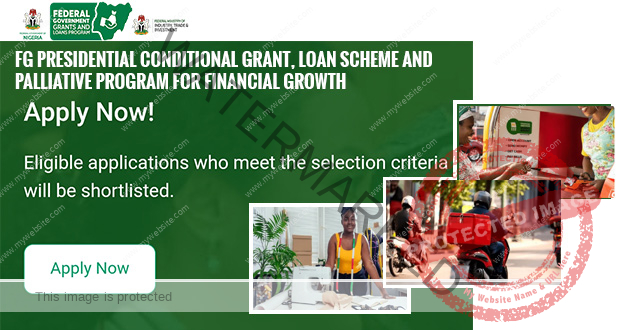 FG Conditional Grant and Loan Programme